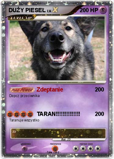 Pokemon DUŻY PIESEŁ