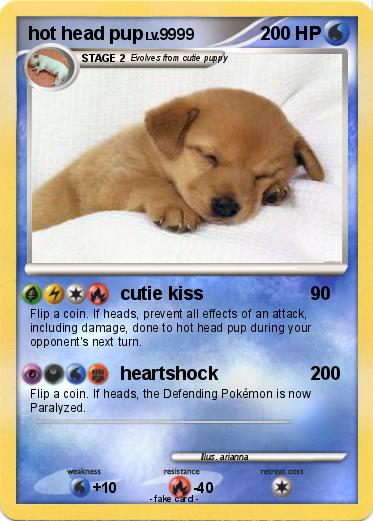 Pokemon hot head pup