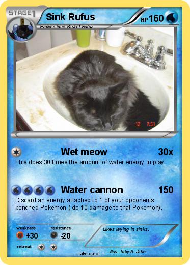 Pokemon Sink Rufus