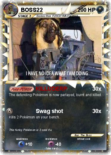 Pokemon BOSS22