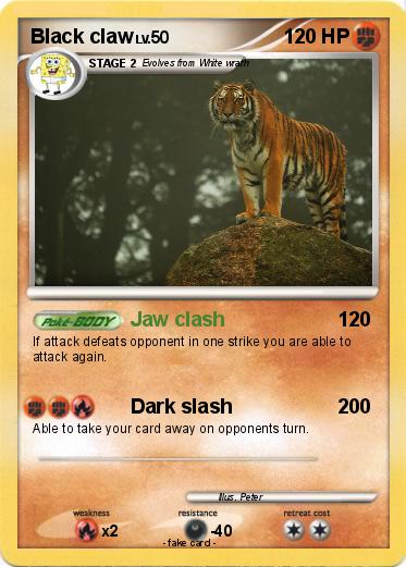 Pokemon Black claw