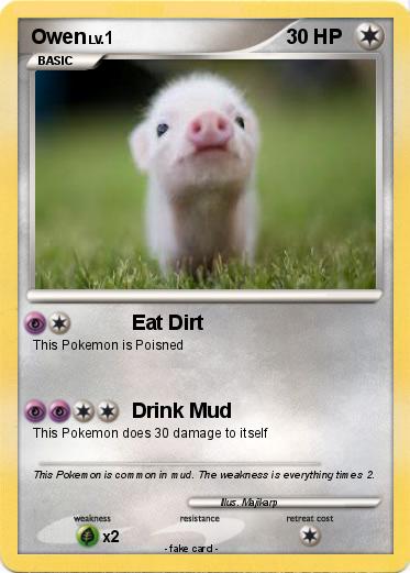 Pokemon Owen
