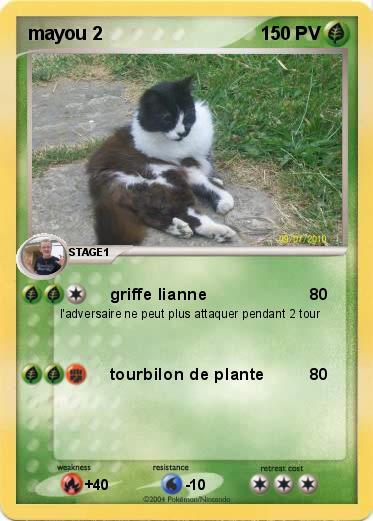 Pokemon mayou 2