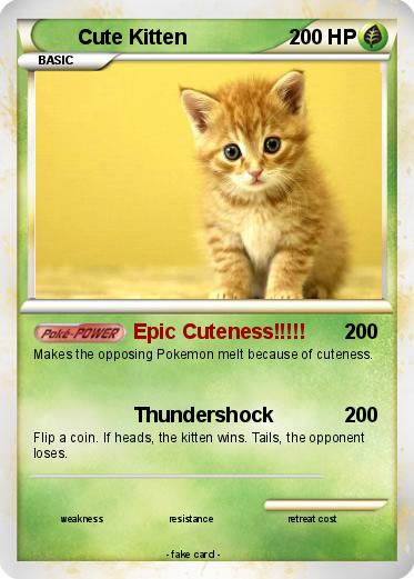 Pokemon Cute Kitten
