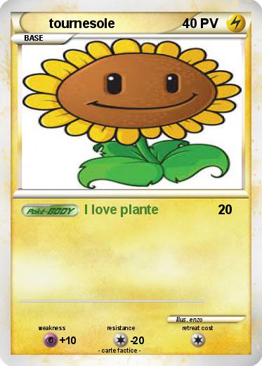 Pokemon tournesole