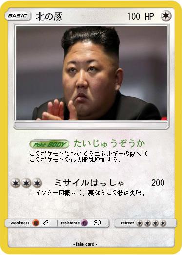 Pokemon 北の豚
