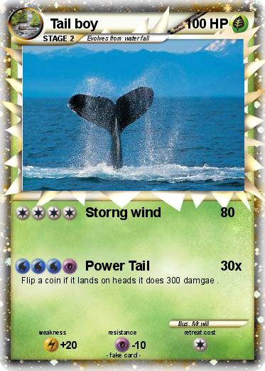 Pokemon Tail boy
