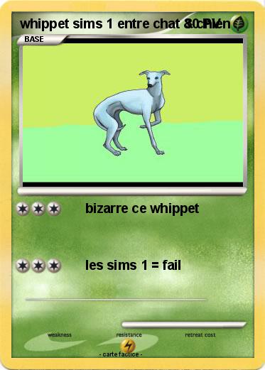 Pokemon whippet sims 1 entre chat & chien