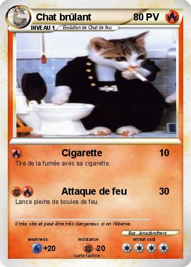 Pokemon Chat brûlant