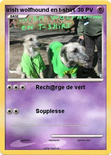 Pokemon irish wolfhound en t-shirt