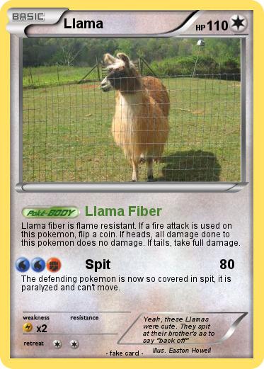Pokemon Llama