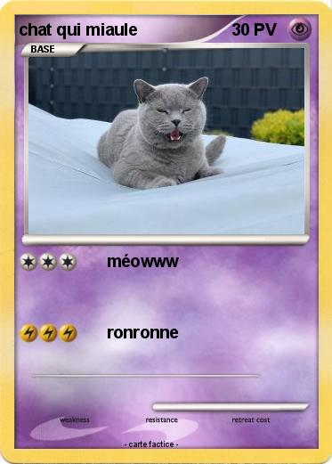 Pokemon chat qui miaule