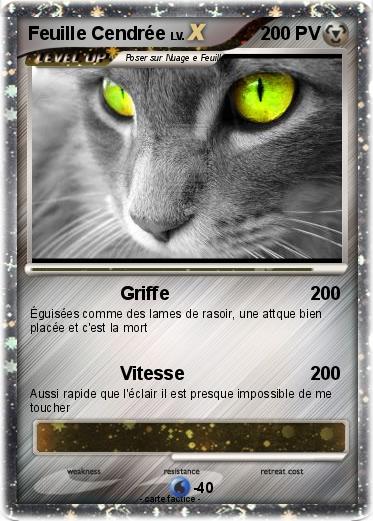 Pokemon Feuille Cendrée