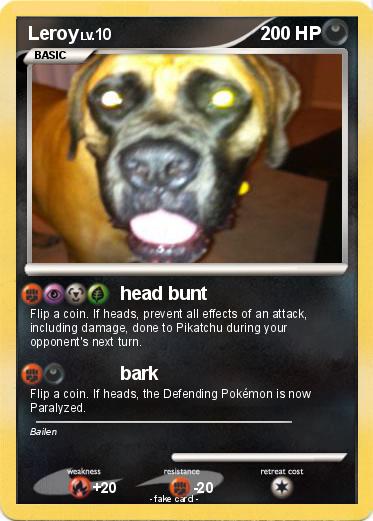Pokemon Leroy