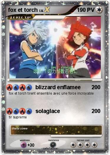 Pokemon fox et torch