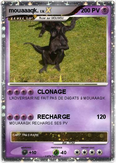 Pokemon mouaaaqk.