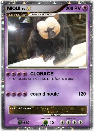 Pokemon MIQUI