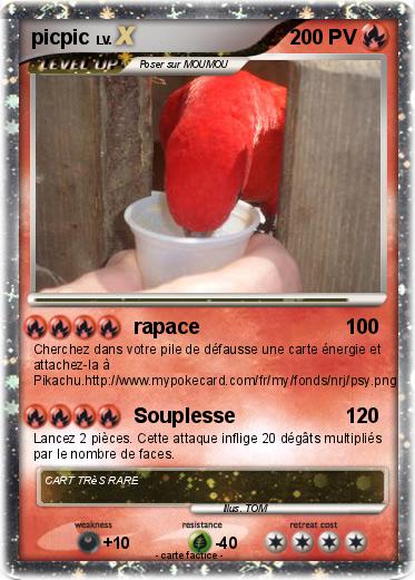 Pokemon picpic