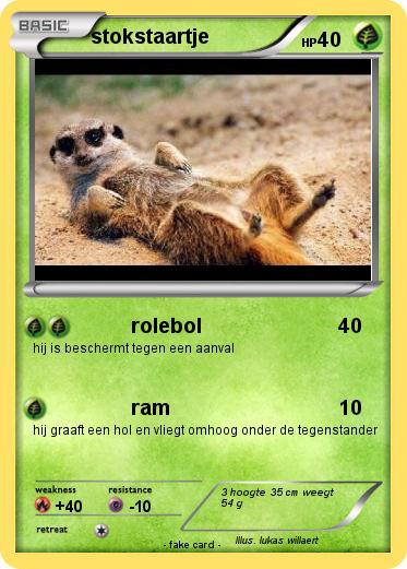 Pokemon stokstaartje
