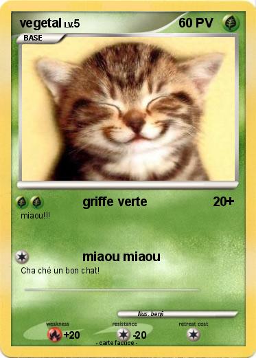 Pokemon vegetal
