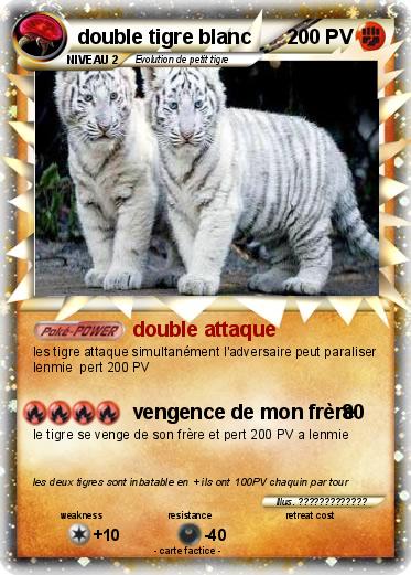 Pokemon double tigre blanc