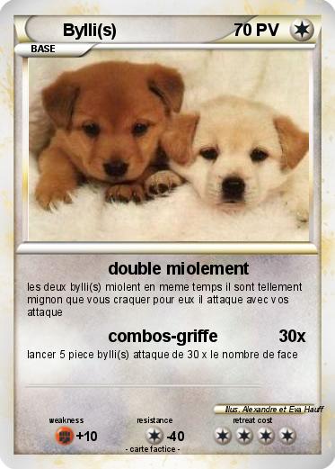 Pokemon Bylli(s)