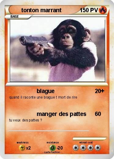 Pokemon tonton marrant