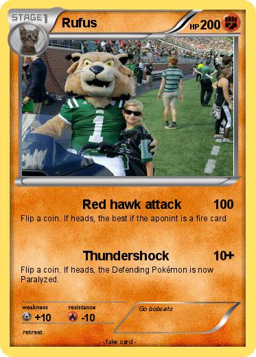 Pokemon Rufus