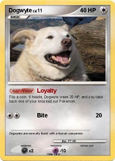Pokemon Dogwyte