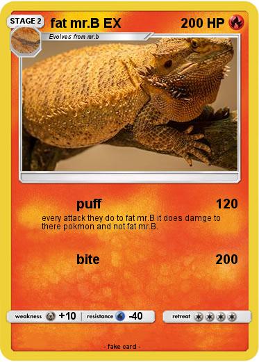 Pokemon fat mr.B EX