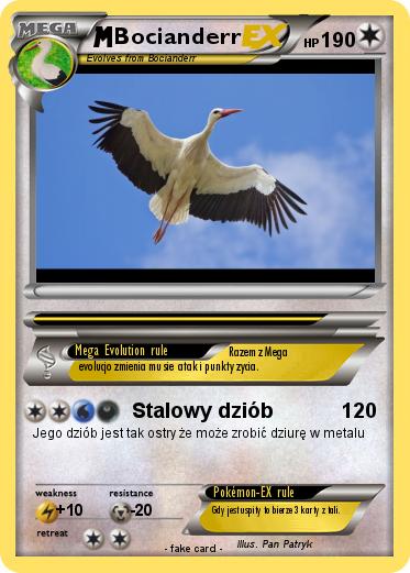 Pokemon Bocianderr