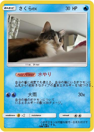 Pokemon さくらex
