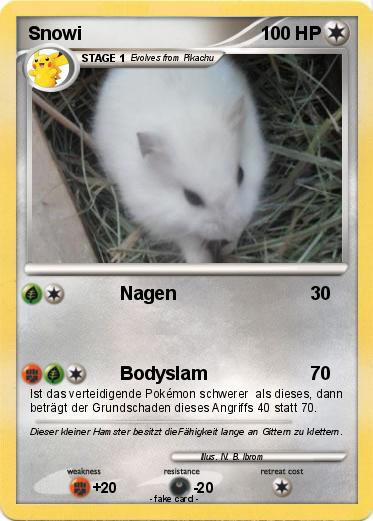 Pokemon Snowi