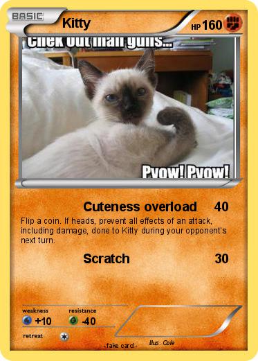 Pokemon Kitty