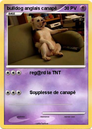 Pokemon bulldog anglais canapé