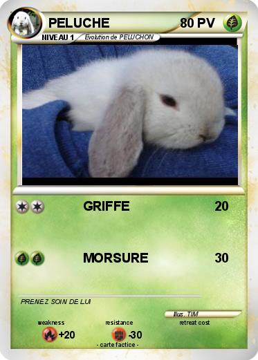 Pokemon PELUCHE