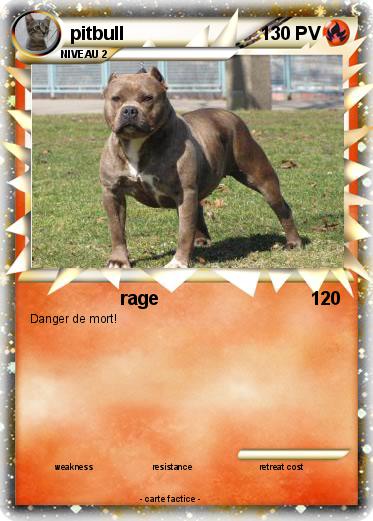 Pokemon pitbull
