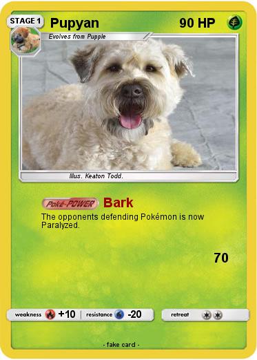 Pokemon Pupyan