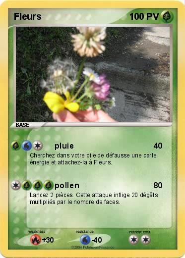Pokemon Fleurs