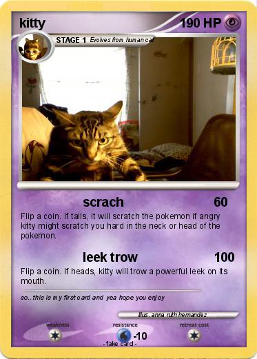 Pokemon kitty