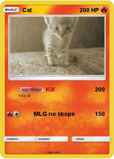 Pokemon Cat