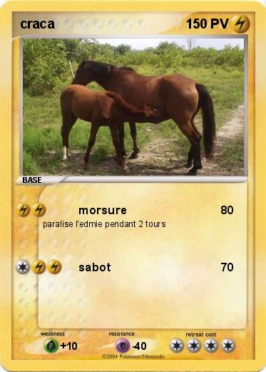 Pokemon craca