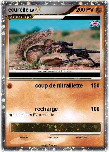 Pokemon ecureile