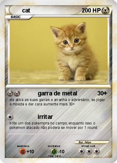 Pokemon cat