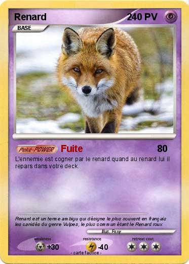 Pokemon Renard                               2