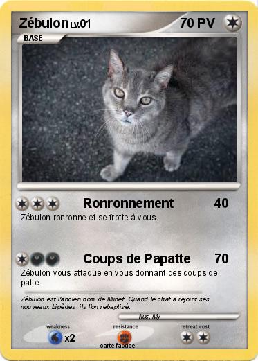 Pokemon Zébulon