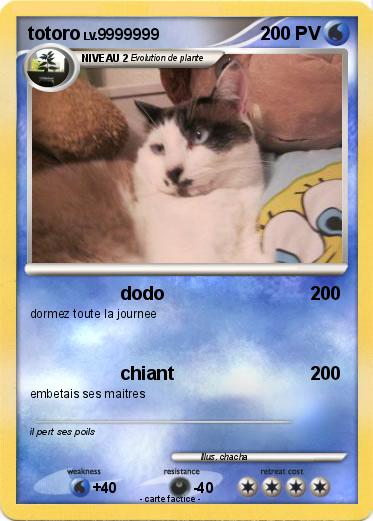 Pokemon totoro