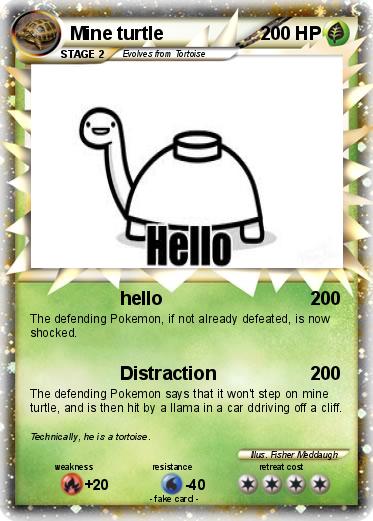 Pokemon Mine turtle