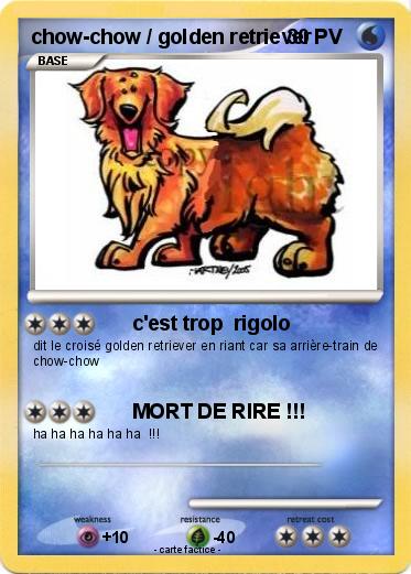 Pokemon chow-chow / golden retriever