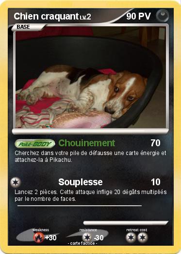 Pokemon Chien craquant